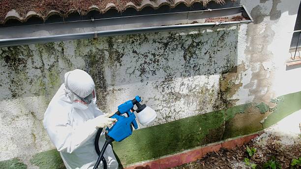Mold Remediation service in Onemo, Onemo, VA